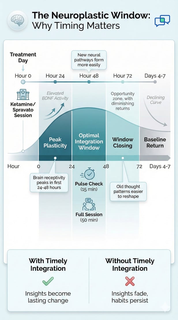 Neuroplastic window infographic timeline showing peak plasticity after ketamine treatment