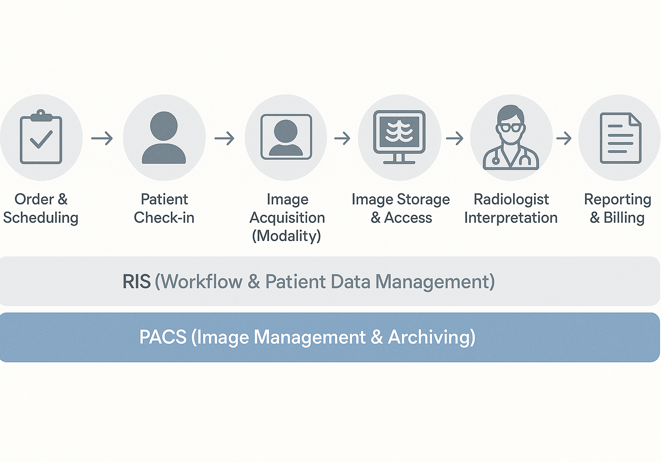 Conceptual diagram of a Radiology Information System (RIS) illustrating its core functionalities crucial for managing PACS and RIS systems in healthcare.